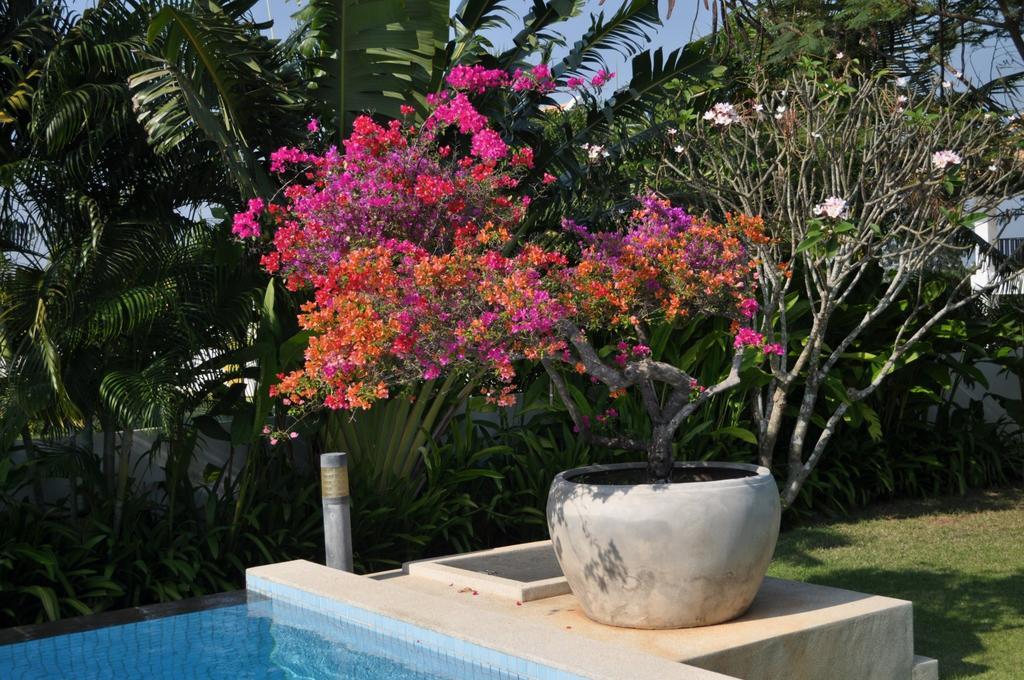Balinese Villa With Private Pool Hua Hin Exterior photo